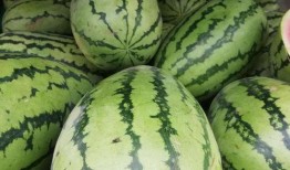 上海网红吃瓜群,揭秘都市圈层中的娱乐风向标